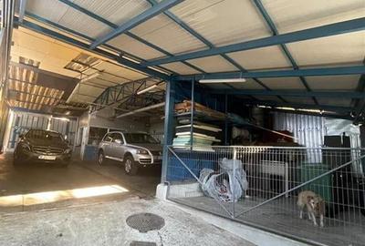 Vila Baneasa | P+E+M | teren 272  mp - 21