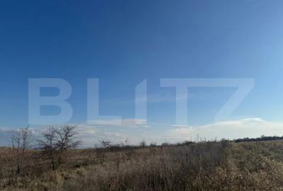 Teren de 1700 mp, în Zăvoi - 1