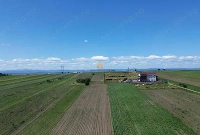 Teren de 36977 mp, în Central - 6