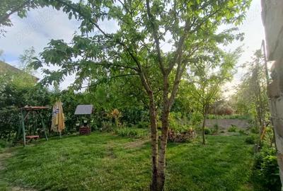 Casă cu 3 camere cu Teren 900 Mp în Central - 10