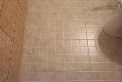 Apartamente 3 camere, zona Calea Bucuresti - 6