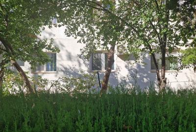 Apartament 3 camere - 7