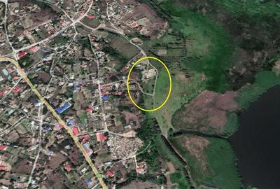 Teren cu deschidere la lac de vanzare in localitatea Somova Tulcea - 4