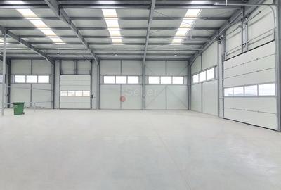 Productie Depozitare Logistica - 4