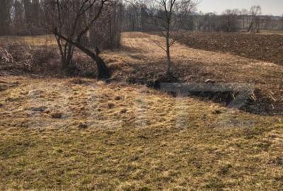 Teren extravilan de vanzare, 40 ARI, zona Racsa - 4