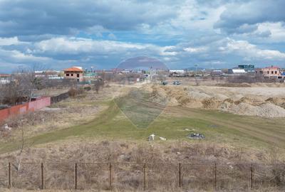 Teren intravilan de vanzare in Noua, str. Nucului - Investitie ideala! Teren intravilan de vanzare in Noua, str. Nucului - Investitie ideala! - 5