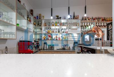 Proprietate specială, în Gârleni - 19