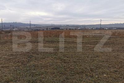 Teren de 5900 mp, în Pătrăuți - 2