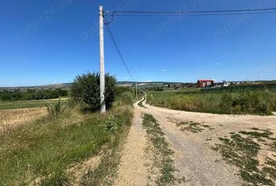 De vanzare teren extravilan Calea Feldioarei, 10.000 mp - 3