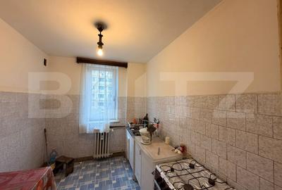 Apartament cu 2 camere semidecomandat în Brazda lui Novac - 7
