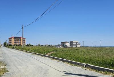 Teren de 10000 mp, în Costinești - 3