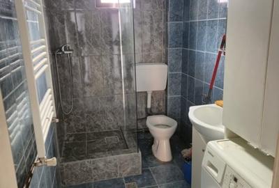 Casa de inchiriat  4  camere zona Parcul Sub Arini - 7