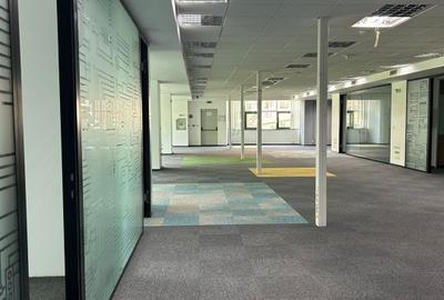 Birou, de 259 mp, în Romană - 9