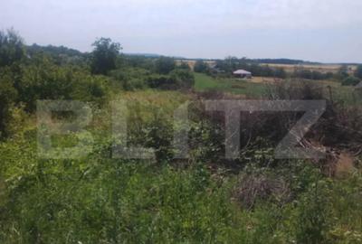 Teren de 1918 mp, în Ardud - 2