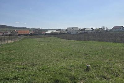 Teren de 1400 mp, în Țibeni - 2