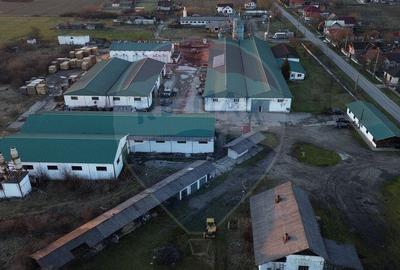 Hale de vanzare-ideale pentru depozit sau productie - 6