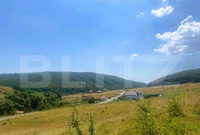 Teren construibil, 1100 mp, cu certificat de urbanism, Salic - 2