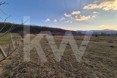 Teren de vanzare – 2.106 mp, agricol extravilan, Calinis, Rasinari - 1