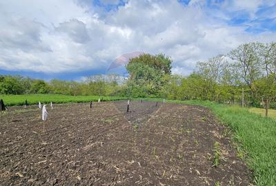 Casă  cu 3 camere, teren intravilan de 1300mp în Ipotești Tișăuți, SV - 26