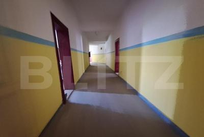 Proprietate de cazare, spatii comerciale, Lugoj - 7