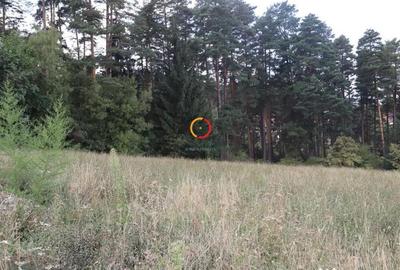 Teren de 1195 mp, în Poiana Angelescu - 8