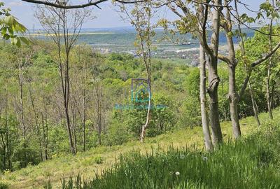 Teren Construcții intravilan de 3007 mp, în Boldești-Scăeni - 8