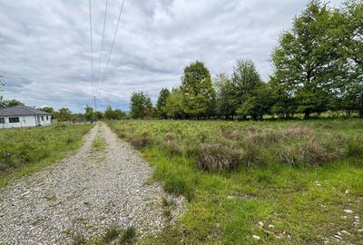 Spațiu comercial, în Ocna Șugatag - 2