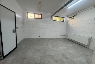 Spatiu cu alta destinatie Lipovei !!! - 5