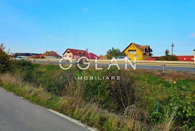 Teren Selimbar-DN1, comercial/industrial, COMISION 0% Teren Selimbar-DN1, comercial/industrial, COMISION 0% - 12