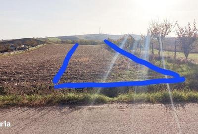 Teren de 4200 mp, în Central - 5