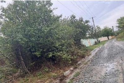 Teren Duta-Epureni, ID: R2757048 - 2