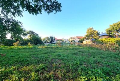 Teren Construcții intravilan de 1000 mp, în Valu lui Traian - 5