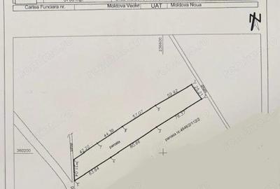 Teren în Moldova Veche - 1