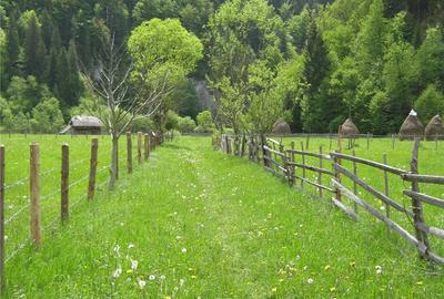 Teren de 2800 mp, în Dâmbovicioara - 1