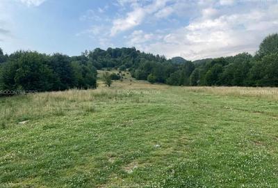 Teren Rasnov intranilan (PUZ) zona Cheia - 4