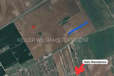 Spațiu comercial, în Domnești - 2