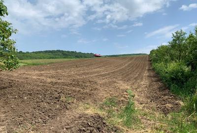 Teren intravilan | 5100 mp | zona Gusterita - 4