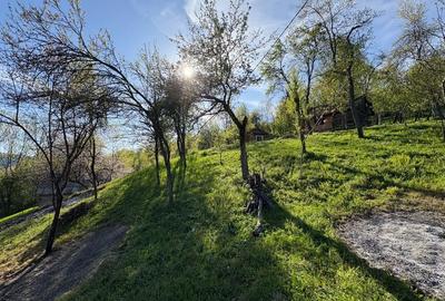 Casă cu 4 camere în Blăjeni - 5