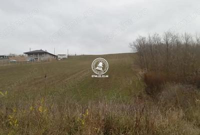 Teren de 5000 mp, în Central - 4