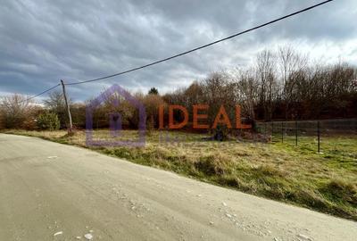 Teren extravilan 1030 mp, Cârțișoara - 1