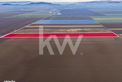 Teren de 16000 mp, în Hărmanului - 11