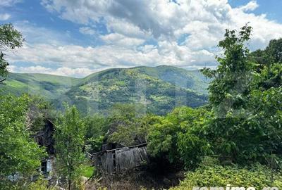 Casa la munte cu teren generos de 9340mp in zona Capalna - Valea Sebe?ului - 2