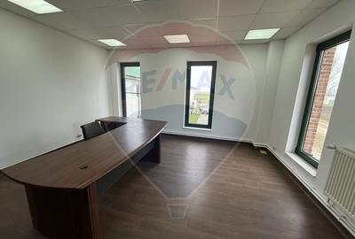 Proprietate specială, de 430,000 mp, în Adunații-Copăceni - 30