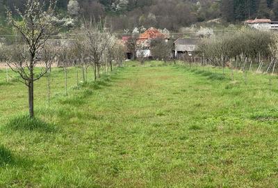 Spațiu comercial, în Dragodănești - 2