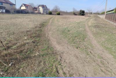 Teren de 5000 mp, în Podu Roș - 2