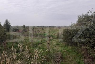 Teren de 39600 mp, în Gării