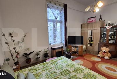 Apartament cu 2 camere semidecomandat în Horea - 3