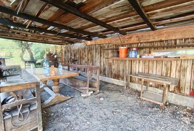 Casa cu 2 camere, 250 mp, zona sud-est - 10