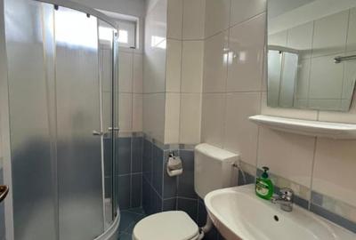 Casa + anexa de vanzare in Șura Mica - 116 mp, regim hotelier activ pe Booking Casa + anexa de vanzare in Șura Mica - 116 mp, regim hotelier activ pe Booking - 15