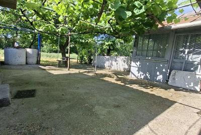 Casă cu Teren 2600 Mp în Movila Miresii - 3
